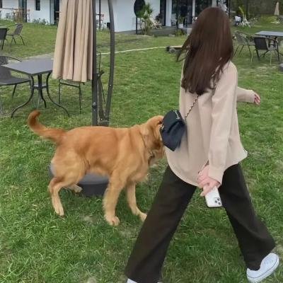 史酷比与精灵国王